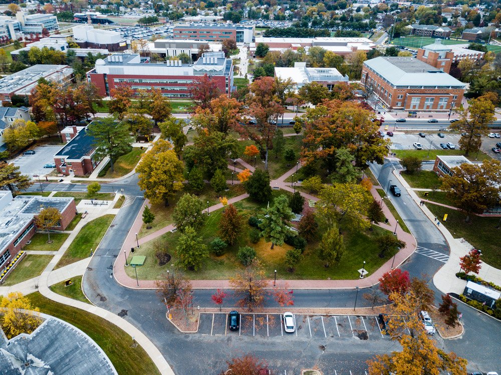 drone image of tops of autumn trees and buildings on campus