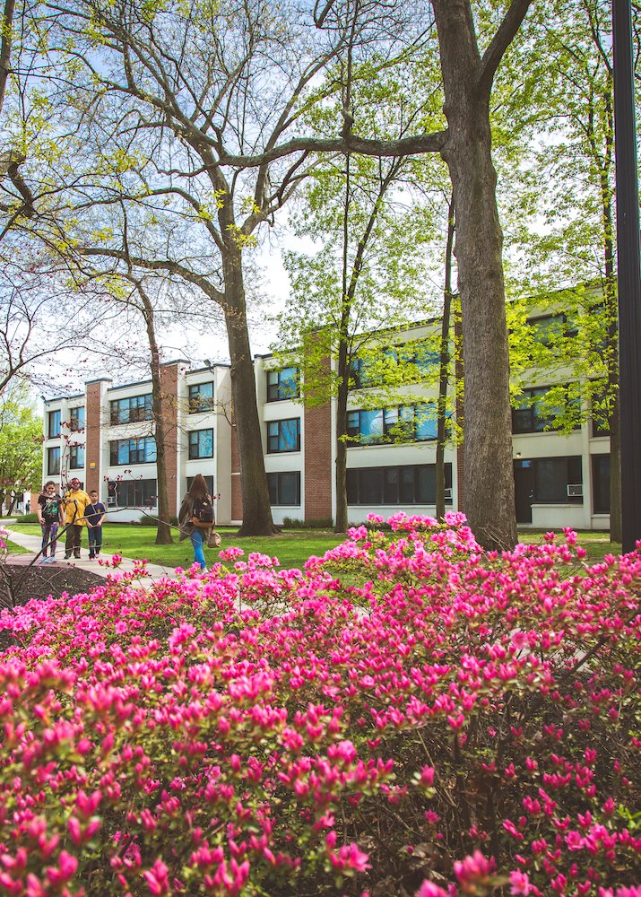 A photo of Evergreen hall among the pink spring trees.