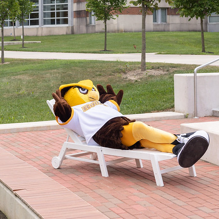 the prof owl laying back on a reclined lawn chair