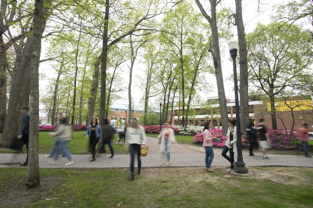 A group of students with blur motion outside on a grassy pathway