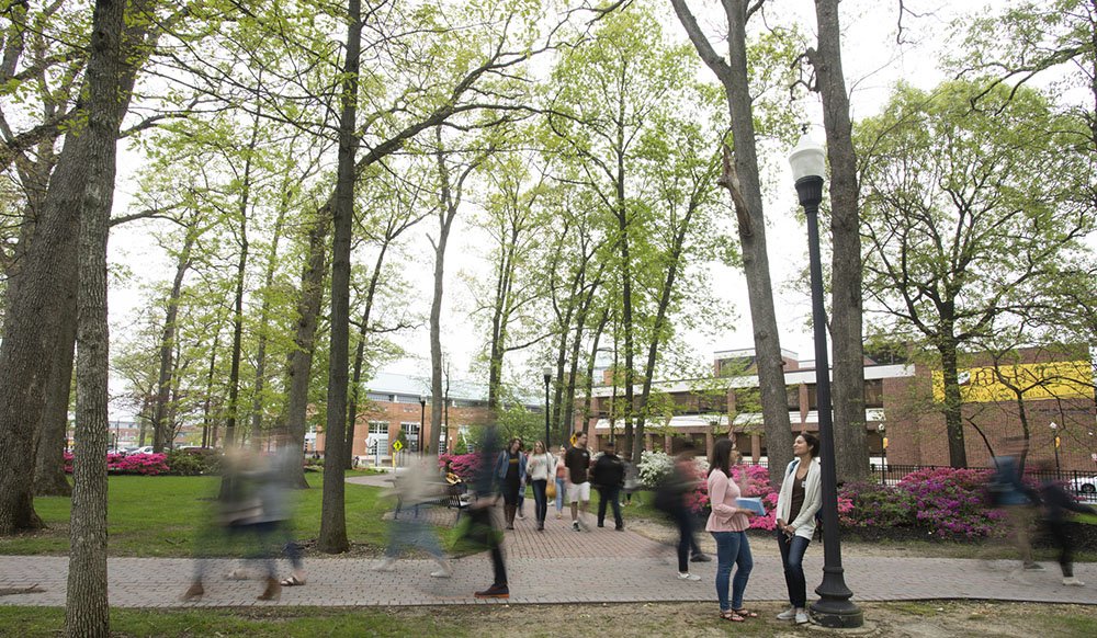 blurry time lapse photo of students walking around campus