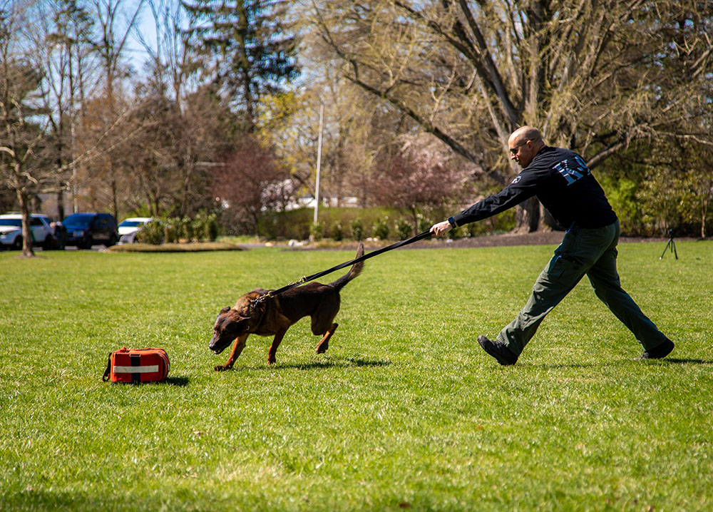 guy walking a dog across Bunce green.