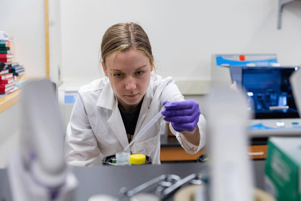 Molecular and Cellular Biology student conducts undergraduate research in the lab.
