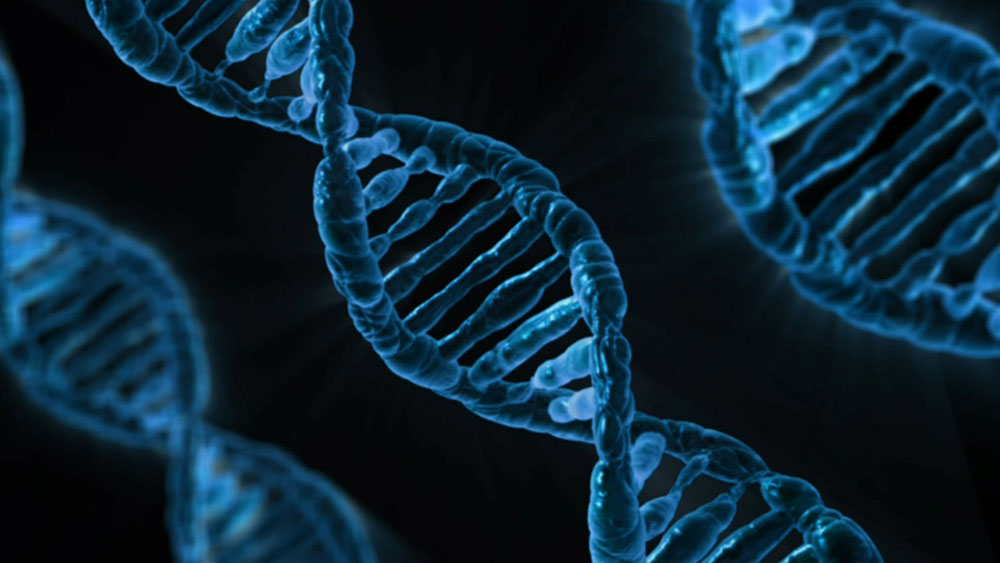 A close up of a stock image of DNA that molecular and cellular biology majors at Rowan University would see in the classroom.