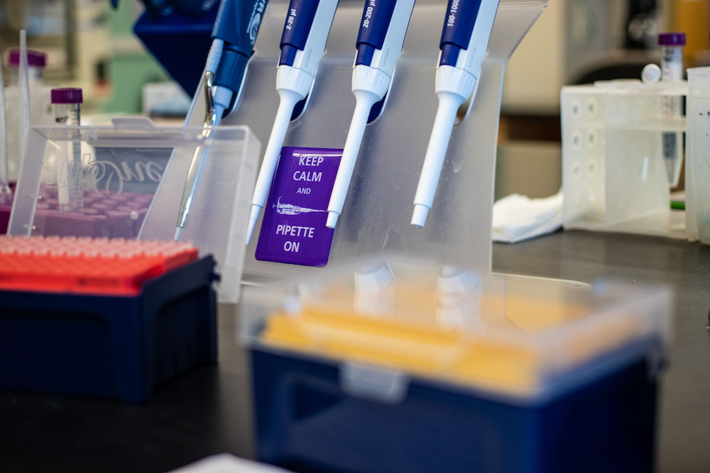 A Rowan University created stock image of pipettes to illustrate the translational biomedical sciences major. 