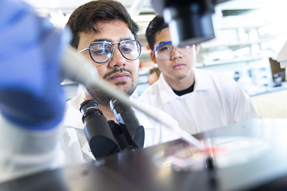 students in lab with laboratory equipment.