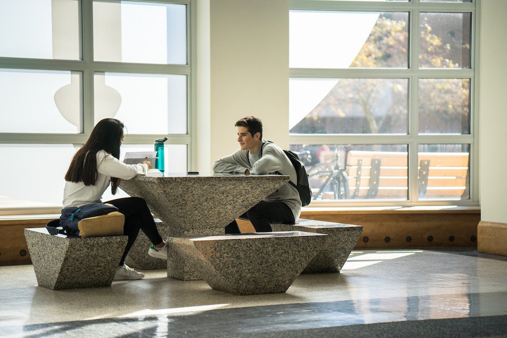 Two students working in the Campbell Library