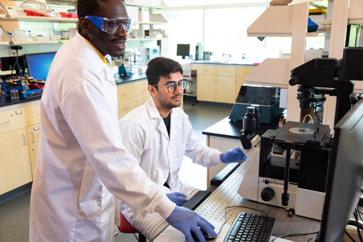 Male students working with a microscope in an engineering lab.