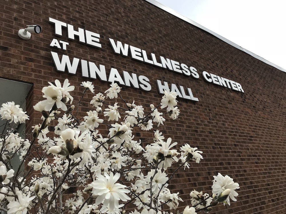 Winans Hall with white flowers in the foreground.