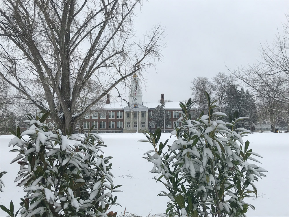 far away view of Bunce covered in snow with snowy bushes in the foreground